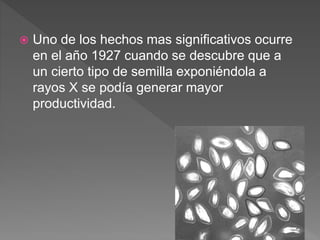  Uno de los hechos mas significativos ocurre
en el año 1927 cuando se descubre que a
un cierto tipo de semilla exponiéndola a
rayos X se podía generar mayor
productividad.
 