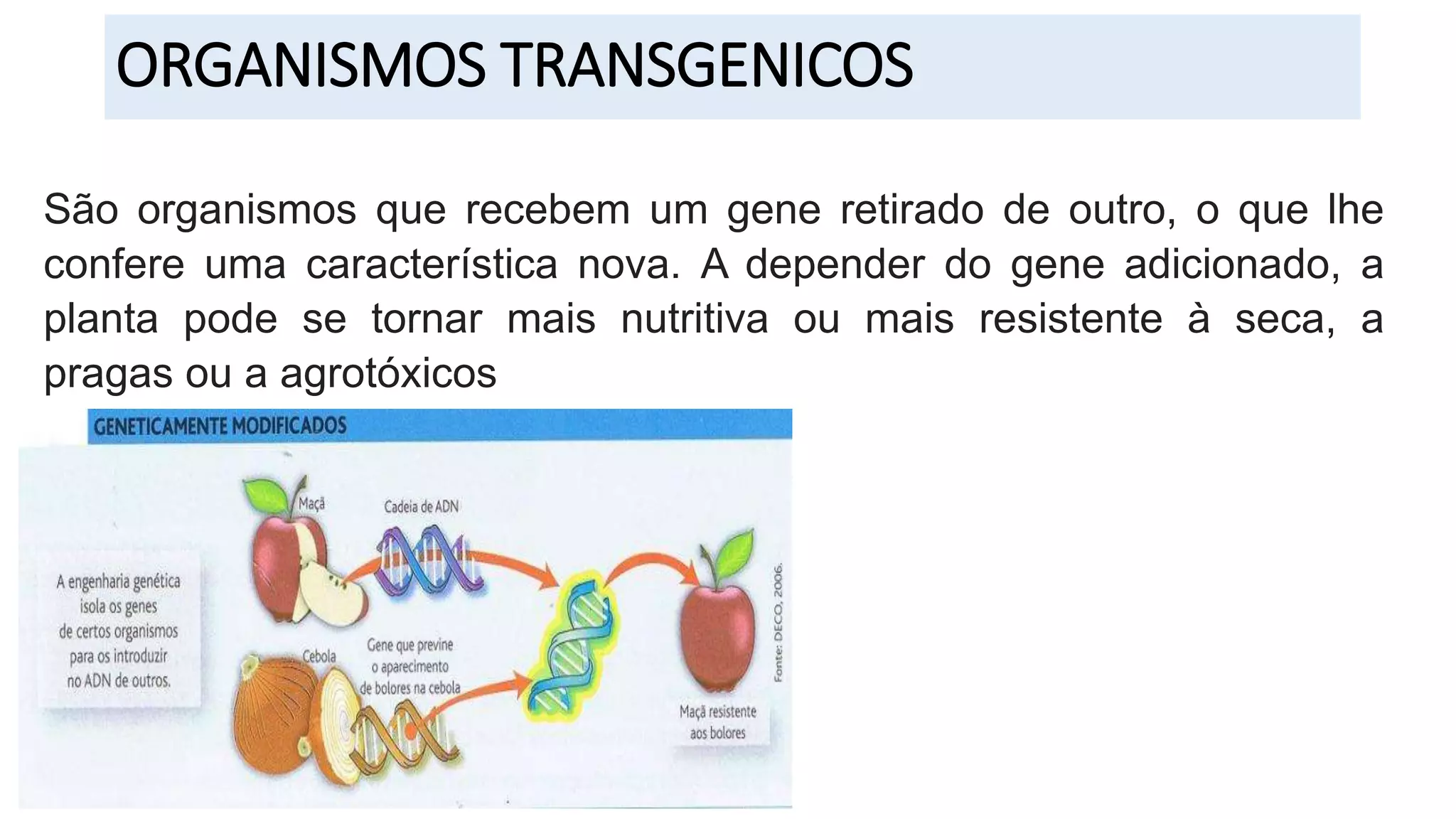 ALIMENTOS TRANSGÊNICOS.pptx