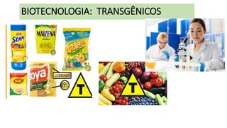 BIOTECNOLOGIA: TRANSGÊNICOS
 