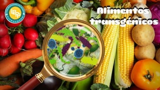 Alimentos
transgénicos
Alimentos
transgénicos
 