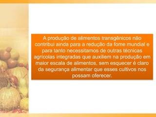 A produção de alimentos transgênicos não
contribui ainda para a redução da fome mundial e
para tanto necessitamos de outras técnicas
agrícolas integradas que auxiliem na produção em
maior escala de alimentos, sem esquecer é claro
da segurança alimentar que esses cultivos nos
possam oferecer.
 