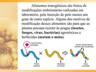 Alimentos transgênicos são frutos de
modificações embrionárias realizadas em
laboratório, pela inserção de pelo menos um
gene de outra espécie. Alguns dos motivos de
modificação desses alimentos são para que as
plantas possam resistir às pragas (insetos,
fungos, vírus, bactérias) agrotóxicos e
herbicidas (matam o mato).
 