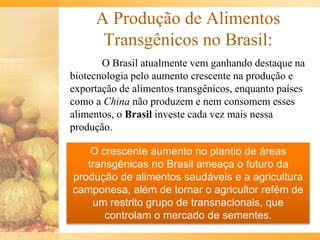 A Produção de Alimentos
Transgênicos no Brasil:
O Brasil atualmente vem ganhando destaque na
biotecnologia pelo aumento crescente na produção e
exportação de alimentos transgênicos, enquanto países
como a China não produzem e nem consomem esses
alimentos, o Brasil investe cada vez mais nessa
produção.
O crescente aumento no plantio de áreas
transgênicas no Brasil ameaça o futuro da
produção de alimentos saudáveis e a agricultura
camponesa, além de tornar o agricultor refém de
um restrito grupo de transnacionais, que
controlam o mercado de sementes.
 