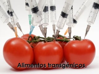 Alimentos transgénicos 