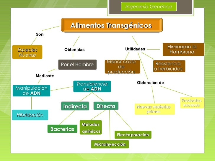Alimentos transgénicos