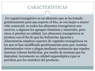 CARACTERÍSTICAS

 Un vegetal transgénico es un alimento que se ha tratado
genéticamente para que,soporte el frio, se vea mejor o mayor
vida comercial, no todos los alimentos transgénicos son
nocivos, a algunos les agregan vitaminas y minerales, pero
otros si pierden su calidad. Los alimentos transgénicos se
produce con el fin de que las Industrias Agrarias y
Alimentarías empleen especies de vegetales transgénicos en
los que se han modificado genéticamente para que; resistan
determinados virus o plagas,mediante sustancias que repelen
insectos; toleren herbicidas, por medio de enzimas que los
degradan; incremente su calidad organoléptica (que se
perciben por los sentidos) del producto.
 