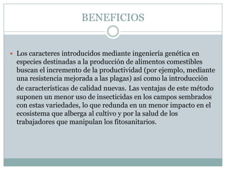 BENEFICIOS


 Los caracteres introducidos mediante ingeniería genética en
  especies destinadas a la producción de alimentos comestibles
  buscan el incremento de la productividad (por ejemplo, mediante
  una resistencia mejorada a las plagas) así como la introducción
  de características de calidad nuevas. Las ventajas de este método
  suponen un menor uso de insecticidas en los campos sembrados
  con estas variedades, lo que redunda en un menor impacto en el
  ecosistema que alberga al cultivo y por la salud de los
  trabajadores que manipulan los fitosanitarios.
 