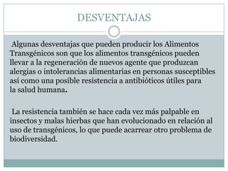 DESVENTAJAS

 Algunas desventajas que pueden producir los Alimentos
Transgénicos son que los alimentos transgénicos pueden
llevar a la regeneración de nuevos agente que produzcan
alergias o intolerancias alimentarias en personas susceptibles
así como una posible resistencia a antibióticos útiles para
la salud humana.

 La resistencia también se hace cada vez más palpable en
insectos y malas hierbas que han evolucionado en relación al
uso de transgénicos, lo que puede acarrear otro problema de
biodiversidad.
 