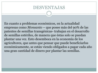 DESVENTAJAS


En cuanto a problemas económicos, en la actualidad
empresas como Monsanto – que posee más del 90% de las
patentes de semillas transgénicas- trabajan en el desarrollo
de semillas estériles, de manera que éstas solo se puedan
plantar una vez. Esto desemboca en la economía de los
agricultores, que antes que pensar que puede beneficiarlos
económicamente, se están viendo obligados a pagar cada año
una gran cantidad de dinero por plantar las semillas.
 