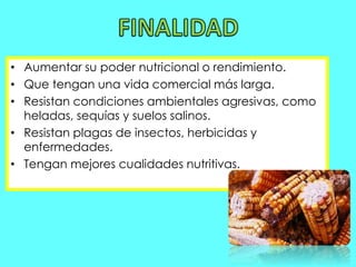 • Aumentar su poder nutricional o rendimiento. 
• Que tengan una vida comercial más larga. 
• Resistan condiciones ambientales agresivas, como 
heladas, sequías y suelos salinos. 
• Resistan plagas de insectos, herbicidas y 
enfermedades. 
• Tengan mejores cualidades nutritivas. 
 