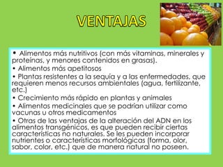 • Alimentos más nutritivos (con más vitaminas, minerales y 
proteínas, y menores contenidos en grasas). 
• Alimentos más apetitosos 
• Plantas resistentes a la sequía y a las enfermedades, que 
requieren menos recursos ambientales (agua, fertilizante, 
etc.) 
• Crecimiento más rápido en plantas y animales 
• Alimentos medicinales que se podrían utilizar como 
vacunas u otros medicamentos 
• Otras de las ventajas de la alteración del ADN en los 
alimentos transgénicos, es que pueden recibir ciertas 
características no naturales. Se les pueden incorporar 
nutrientes o características morfológicas (forma, olor, 
sabor, color, etc.) que de manera natural no poseen. 
 