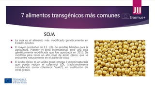7 alimentos transgénicos más comunes
SOJA
 La soja es el alimento más modificado genéticamente en
Estados Unidos.
 El mayor productor de E.E. U.U. de semillas híbridas para la
agricultura, Pioneer Hi-Bred International, creó una soja
genéticamente modificada que fue aprobada en 2010. Se
modificó para tener un alto nivel de ácido oleico, que se
encuentra naturalmente en el aceite de oliva.
 El ácido oleico es un ácido graso omega-9 monoinsaturada
que puede reducir el colesterol LDL (tradicionalmente
considerado como colesterol “malo”), en sustitución de
otras grasas.
 