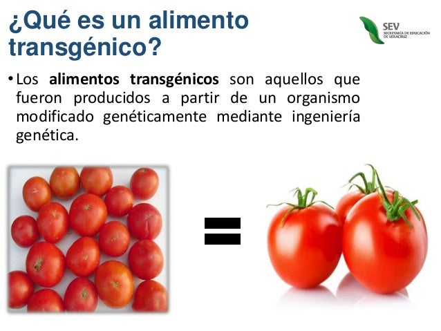 Alimentos y animales transgénicos