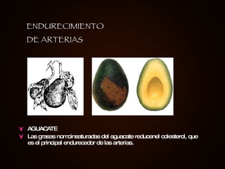 AGUACATE Las grasas nomoinsaturadas del aguacate reducenel colesterol, que es el principal endurecedor de las arterias. ENDURECIMIENTO DE ARTERIAS 