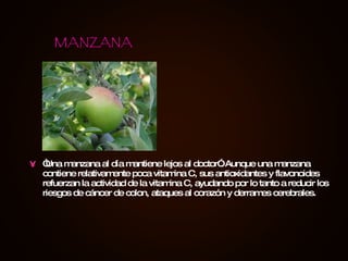 “ Una manzana al día mantiene lejos al doctor”. Aunque una manzana contiene relativamente poca vitamina C, sus antioxidantes y flavonoides refuerzan la actividad de la vitamina C, ayudando por lo tanto a reducir los riesgos de cáncer de colon, ataques al corazón y derrames cerebrales. MANZANA 