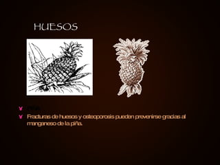 PIÑA Fracturas de huesos y osteoporosis pueden prevenirse gracias al manganeso de la piña. HUESOS 