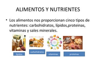 ALIMENTOS Y NUTRIENTES
• Los alimentos nos proporcionan cinco tipos de
  nutrientes: carbohidratos, lípidos,proteinas,
  vitaminas y sales minerales.



               carbohidratos
     lípidos                   vitaminas   proteínas
 