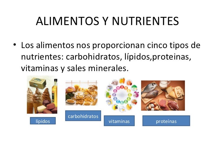 Libro Los Alimentos Funcionales PDF