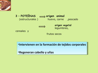 3 – POTEÍNAS  origen  animal  (estructurales )  huevo, carne  ,pescado origen vegetal legumbres, cereales  y  frutos secos Intervienen en la formación de tejidos corporales Regeneran cabello y uñas 