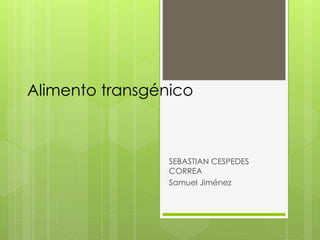 Alimento transgénico
SEBASTIAN CESPEDES
CORREA
Samuel Jiménez
 