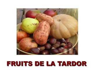 FRUITS DE LA TARDOR
 