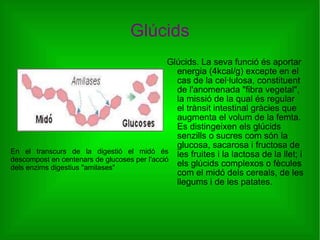 Glúcids Glúcids. La seva funció és aportar energia (4kcal/g) excepte en el cas de la cel·lulosa, constituent de l'anomenada "fibra vegetal", la missió de la qual és regular el trànsit intestinal gràcies que augmenta el volum de la femta. Es distingeixen els glúcids senzills o sucres com són la glucosa, sacarosa i fructosa de les fruites i la lactosa de la llet; i els glúcids complexos o fècules com el midó dels cereals, de les llegums i de les patates. En el transcurs de la digestió el midó és descompost en centenars de glucoses per l'acció dels enzims digestius "amilases"  