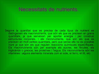 Necessitats de nutrients.  Segons la quantitat que es precisa de cada tipus de nutrient es distingeixen els macronutrients, que són els que es precisen en grans quantitats, ja que serveixen per aportar energia i per construir estructures corporals, i els micronutrients, que són els que es precisen en molt petites quantitats, però que sense ells no és possible viure ja que són els que regulen reaccions químiques específiques. Els macronutrients són per exemple els sucres, les fècules, els triglicèrids o greixos, les proteïnes i l'aigua. Els micronutrients són les vitamines i alguns elements minerals com el iode, el ferro, el liti, etc. 