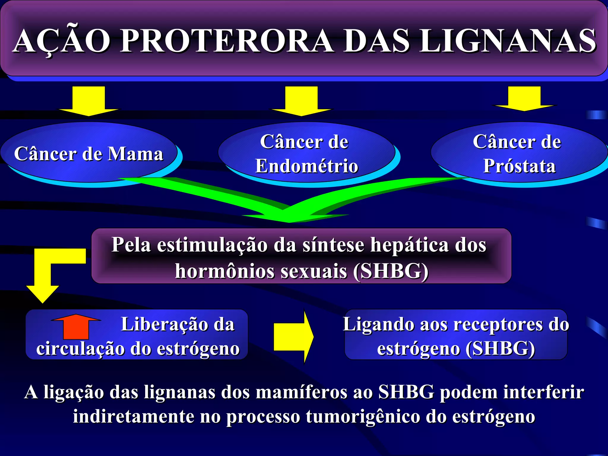 AÇÃO PROTERORA DAS LIGNANAS

                            Câncer de             Câncer de
Câncer de Mama
                            Endométrio             Próstata


          Pela estimulação da síntese hepática dos
                 hormônios sexuais (SHBG)

            Liberação da            Ligando aos receptores do
  circulação do estrógeno              estrógeno (SHBG)

A ligação das lignanas dos mamíferos ao SHBG podem interferir
      indiretamente no processo tumorigênico do estrógeno
 