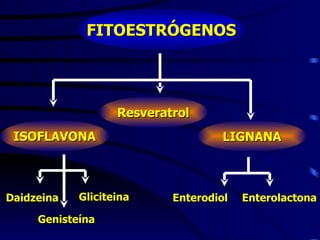 FITOESTRÓGENOS




                   Resveratrol
 ISOFLAVONA                         LIGNANA



Daidzeina   Gliciteina     Enterodiol   Enterolactona

     Genisteína
 