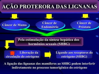 AÇÃO PROTERORA DAS LIGNANAS

                            Câncer de             Câncer de
Câncer de Mama
                            Endométrio             Próstata


          Pela estimulação da síntese hepática dos
                 hormônios sexuais (SHBG)

            Liberação da            Ligando aos receptores do
  circulação do estrógeno              estrógeno (SHBG)

A ligação das lignanas dos mamíferos ao SHBG podem interferir
      indiretamente no processo tumorigênico do estrógeno
 