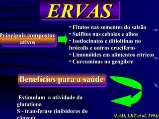 ERVAS
                           • Fitatos nas sementes do salsão
Principais compostos       • Sulfitos nas cebolas e alhos
       ativos              • Isotiocinatos e ditioltinas no
                           brócolis e outros crucíferos
                           • Limonóides em alimentos cítricos
                           • Curcuminas no gengibre


       Benefícios para a saúde

      Estimulam a atividade da
      glutationa
      S - transferase (inibidores do
                                            (LAM, LKT et al, 1994)
 
