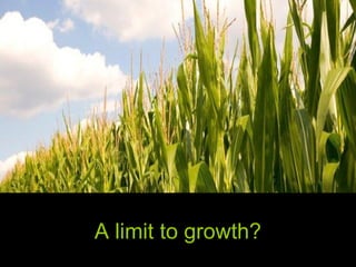 A limit to growth? 
 