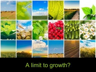 A limit to growth? 
 