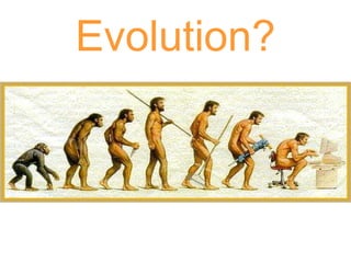 Evolution? 
 