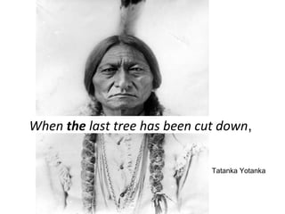 When the last tree has been cut down, 
Tatanka Yotanka 
 