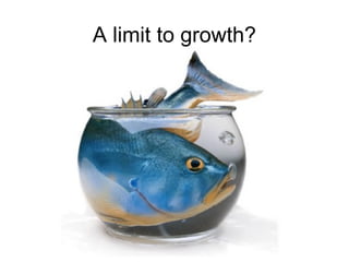 A limit to growth? 
 