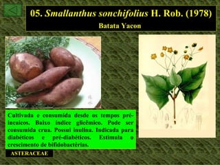 05. Smallanthus sonchifolius H. Rob. (1978)
                                Batata Yacon




Cultivada e consumida desde os tempos pré-
incaicos. Baixo índice glicêmico. Pode ser
consumida crua. Possui inulina. Indicada para
diabéticos e pré-diabéticos. Estimula o
crescimento de bifidobactérias.
 ASTERACEAE
 