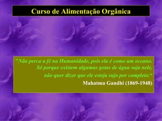 Curso de Alimentação Orgânica




"Não perca a fé na Humanidade, pois ela é como um oceano.
        Só porque existem algumas gotas de água suja nele,
            não quer dizer que ele esteja sujo por completo.“
                             Mahatma Gandhi (1869-1948)
 