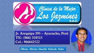 Obsta. Héctor Danilo Velarde Valer
Jr. Arequipa 395 – Ayacucho, Perú
Tlf.: (066) 310515
Cel.: 966642522
 