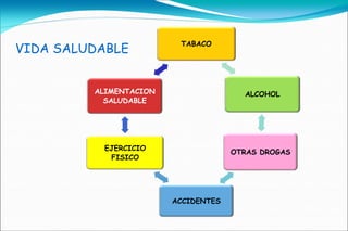 TABACO
VIDA SALUDABLE


         ALIMENTACION                  ALCOHOL
           SALUDABLE




           EJERCICIO
                                     OTRAS DROGAS
            FISICO




                        ACCIDENTES
 