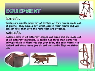 BRIDLES
Bridles are usually made out of leather or they can be made out
of plastic. They have a „bit‟ which goes in their mouth and you
can con troll then with the reins that are attached.
SADDLES
Saddles come in all different shapes and sizes and are made out
of all different materials. A saddle has three main parts the
stirrups which is where you put your feet, the seat where it is
padded and that‟s were you sit and the saddle flaps on either
side.
 