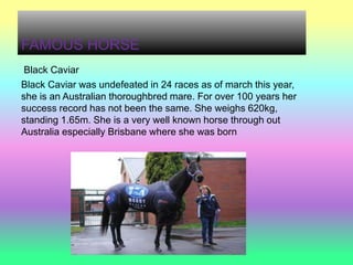 FAMOUS HORSE
 Black Caviar
Black Caviar was undefeated in 24 races as of march this year,
she is an Australian thoroughbred mare. For over 100 years her
success record has not been the same. She weighs 620kg,
standing 1.65m. She is a very well known horse through out
Australia especially Brisbane where she was born
 
