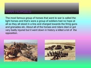 WAR HORSES
The most famous group of horses that went to war is called the
light horses and that’s were a group of soldiers had no hope at
all so they all stood in a line and charged towards the firing guns
and grenades etc. About all of the horses and riders died or got
very badly injured but it went down in history a killed a lot of the
opposition.
 