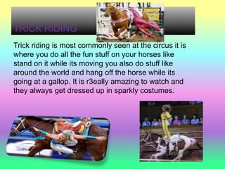 TRICK RIDING
Trick riding is most commonly seen at the circus it is
where you do all the fun stuff on your horses like
stand on it while its moving you also do stuff like
around the world and hang off the horse while its
going at a gallop. It is r3eally amazing to watch and
they always get dressed up in sparkly costumes.
 