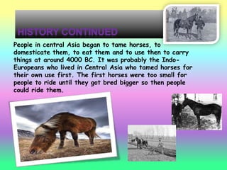 People in central Asia began to tame horses, to
domesticate them, to eat them and to use then to carry
things at around 4000 BC. It was probably the Indo-
Europeans who lived in Central Asia who tamed horses for
their own use first. The first horses were too small for
people to ride until they got bred bigger so then people
could ride them.
 