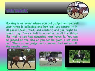 Hacking is an event where you get judged on how well
your horse is collected and how well you control it in
all paces (Walk, trot, and canter.) and you might be
asked to go from a halt to a canter an all the things
like that to see how educated your horse is. You can
be judged on the ring or you can be given a set work
out. There is one judge and a person that writes all
the results down.
 
