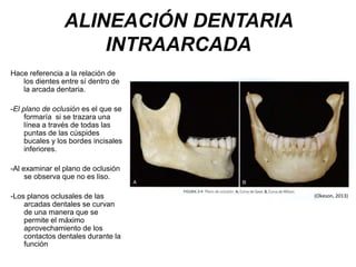 ALINEACIÓN DENTARIA
INTRAARCADA
Hace referencia a la relación de
los dientes entre sí dentro de
la arcada dentaria.
-El plano de oclusión es el que se
formaría si se trazara una
línea a través de todas las
puntas de las cúspides
bucales y los bordes incisales
inferiores.
-Al examinar el plano de oclusión
se observa que no es liso.
-Los planos oclusales de las
arcadas dentales se curvan
de una manera que se
permite el máximo
aprovechamiento de los
contactos dentales durante la
función
(Okeson, 2013)
 