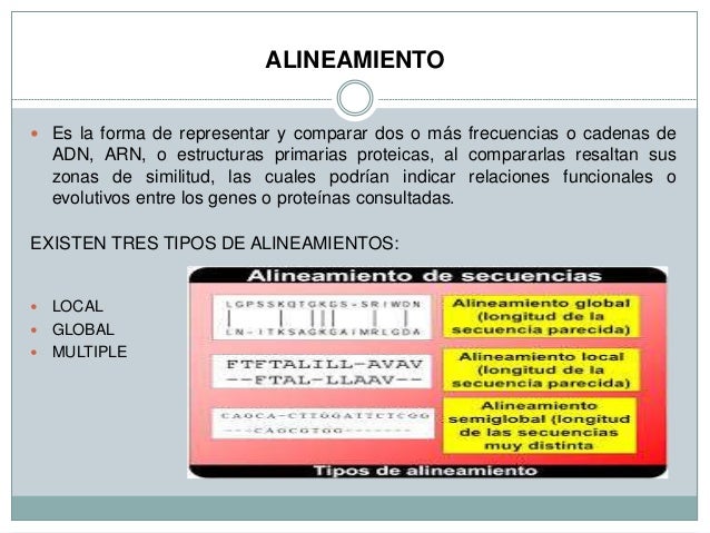 Tipos de alineamiento