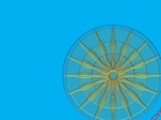 ALINEAMIENTO DE DIRECCION ALL.ppt