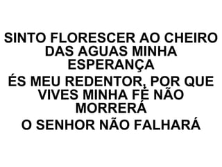 SINTO FLORESCER AO CHEIRO
DAS AGUAS MINHA
ESPERANÇA
ÉS MEU REDENTOR, POR QUE
VIVES MINHA FÉ NÃO
MORRERÁ
O SENHOR NÃO FALHARÁ
 